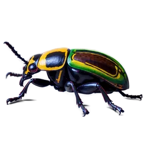 Beetle Environmental Impact PNG 91