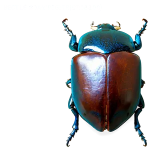 Beetle Expedition Photo PNG Tal PNG