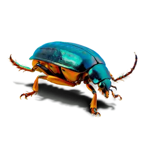 Beetle Expedition Photo PNG Tgk53 PNG