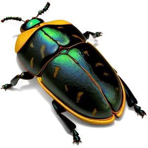 Beetle Footprint Trace PNG Ofw