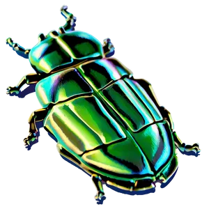 Beetle Footprint Trace PNG Ppp4