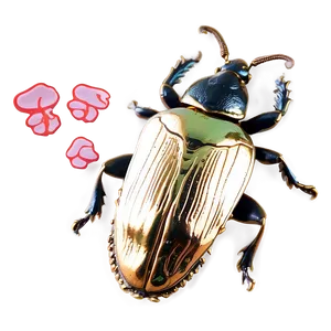 Beetle Footprint Trace PNG Shd62