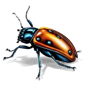 Beetle Illustration PNG 05242024