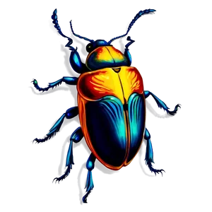 Beetle Illustration PNG 05242024