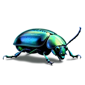 Beetle Illustration PNG Hbg92