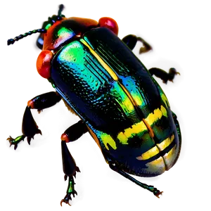 Beetle In Agriculture PNG Ngo87 PNG