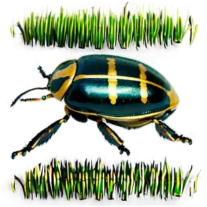 Beetle In Agriculture PNG Xob39 PNG