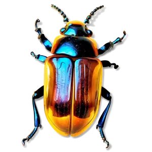 Beetle In Amber PNG Jcj60