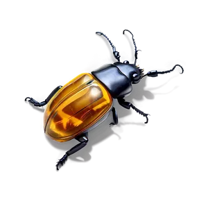 Beetle In Amber PNG Qwf16
