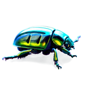 Beetle In Folklore PNG 90