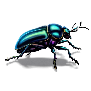Beetle In Folklore PNG Atq