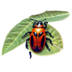 Beetle In Habitat Illustration PNG 13