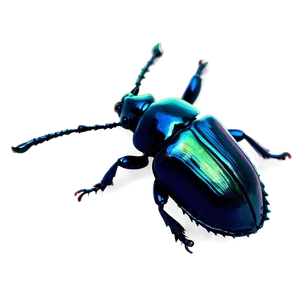 Beetle In Nature Background PNG Hee