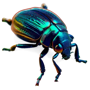 Beetle In Science Research PNG 93
