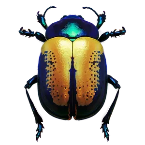 Beetle In Science Research PNG Jqs