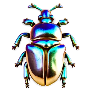 Beetle Jewelry Inspiration PNG 05242024