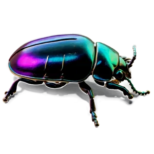 Beetle Jewelry Inspiration PNG Nej