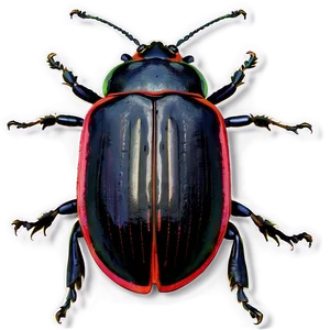 Beetle Navigation Skills PNG 05242024 PNG