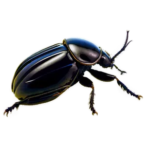 Beetle Silhouette PNG 18