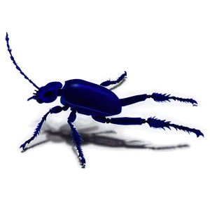 Beetle Silhouette PNG Rhg