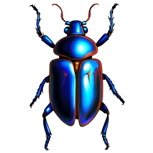 Beetle Tattoo Design PNG 57 PNG