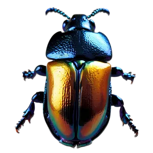 Beetle Under Microscope View PNG Krq