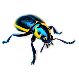 Beetle Under Microscope View PNG Rts