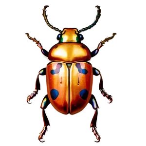 Beetle With Transparent Background PNG 91