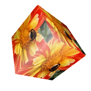 Beetleson Flowers Cube PNG image