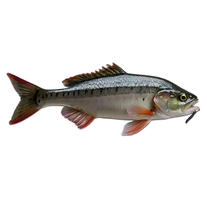 Beginner's Guide To Fishing PNG 23