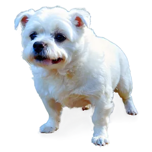Bella In The Snow PNG 06242024