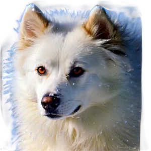 Bella In The Snow PNG Dta