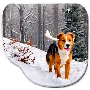 Bella In The Snow PNG Inq