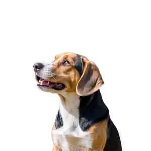 Bemoaning Beagle Png 63 PNG image