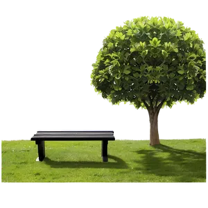 Bench Under Tree PNG 05232024