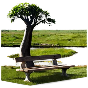 Bench With View PNG 45 PNG