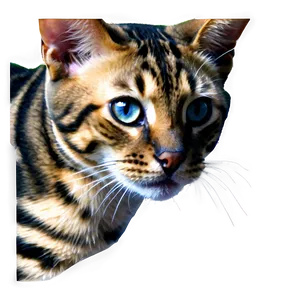 Bengal Cat Face PNG 2 PNG