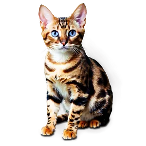 Bengal Cat PNG 86