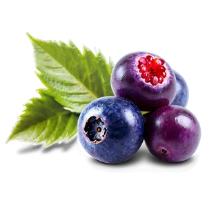 Berries B PNG image