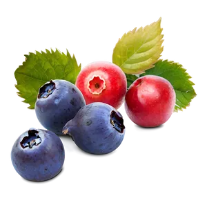 Berries C PNG image