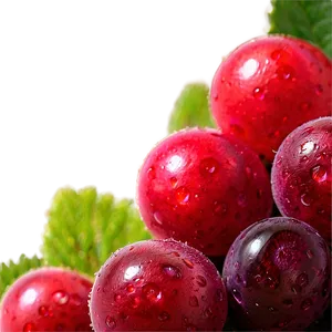 Berries Macro Shot PNG 06122024 PNG