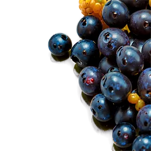 Berries Macro Shot PNG 06122024 PNG
