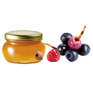 Berries With Honey PNG 06122024