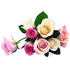 Bi-color Roses Bouquet PNG 06212024 PNG