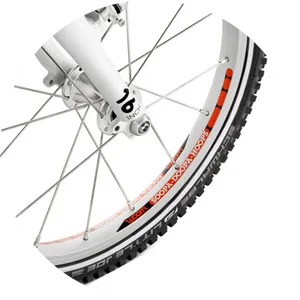 Bicycle Wheeland Tire Detail PNG image