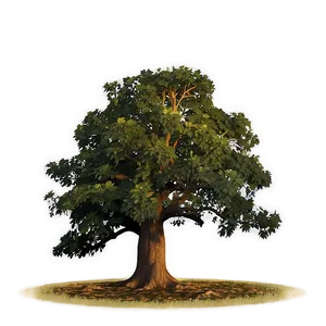 Big Tree At Golden Hour PNG Fig87 PNG