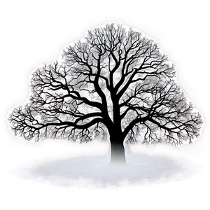 Big Tree In Foggy Landscape PNG 06262024 PNG