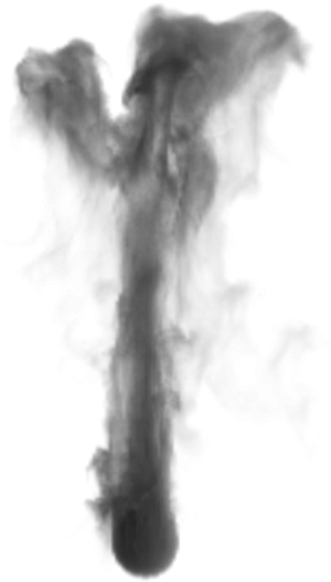 Billowing Black Smoke Texture PNG image