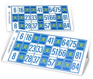 Bingo Cards Double Set PNG image