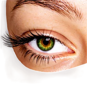 Biodegradable Lashes Png 05252024 PNG image